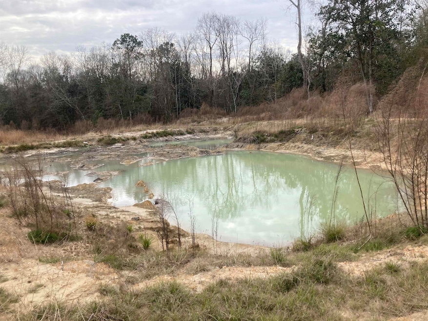 65 Lindsey Dr, Havana, FL 32333 - photo 1