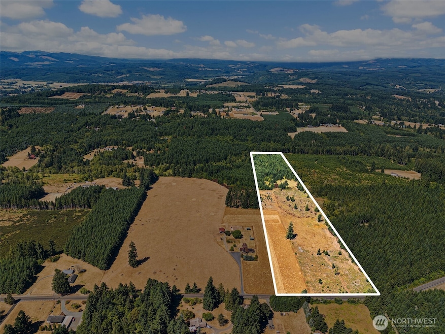 0 Frogner Rd unit 3 NWM2417175, Adna, WA 98532 - photo 1