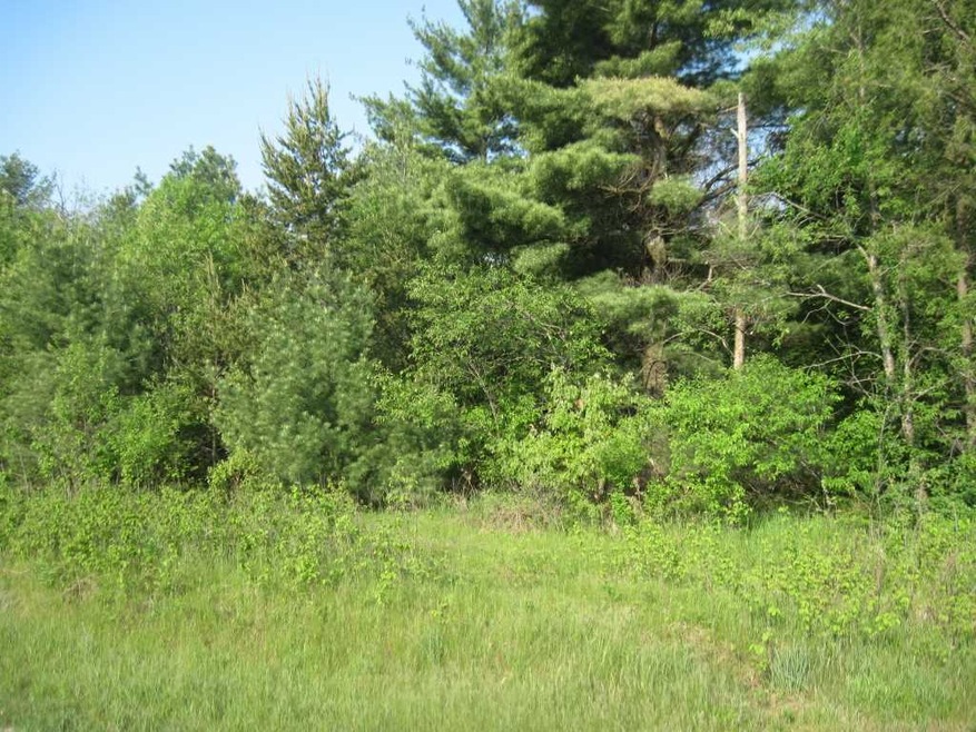 Lot 2 11th Ave, Arkdale, WI 54613 - photo 1