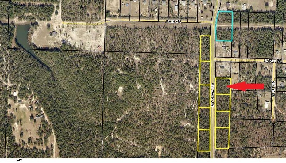 0 Mt Olive Rd unit Lot 2 876635, Crestview, FL 32539 - photo 1