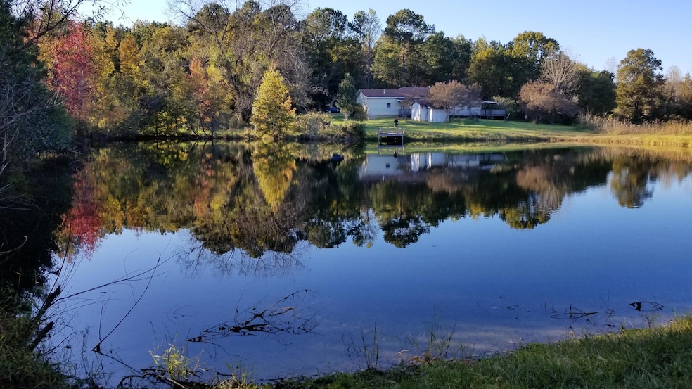 Pond view