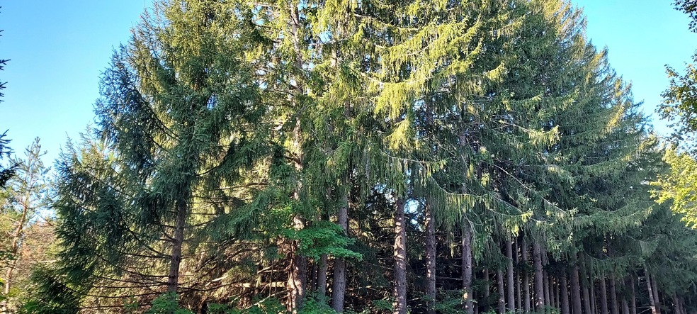 View from Corner