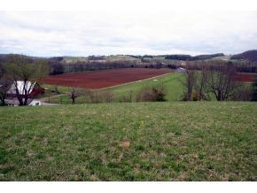 43 Acres Bottom Land