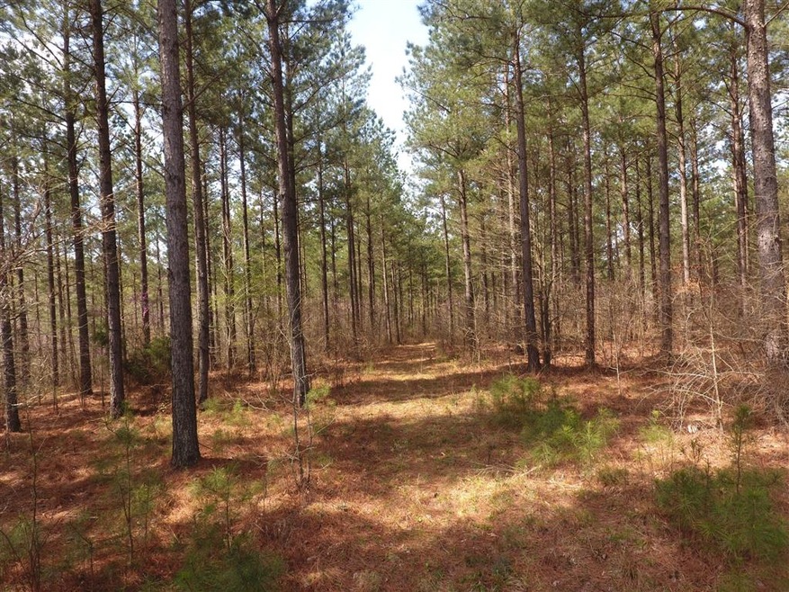 0 Mathis Cemetery Rd unit 2170373, Stewart, TN 37175 - photo 1