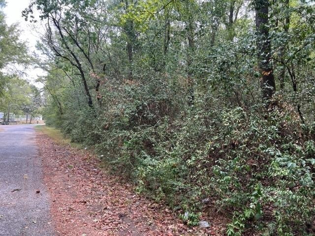 000 Hursey St, Jasper, TX 75951 - photo 1