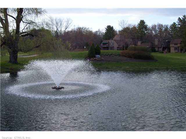 22 Crocus Ln unit 128-B, Avon, CT 06001 - photo 1