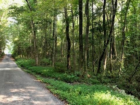 11.9 ACRES IN TEMPLE