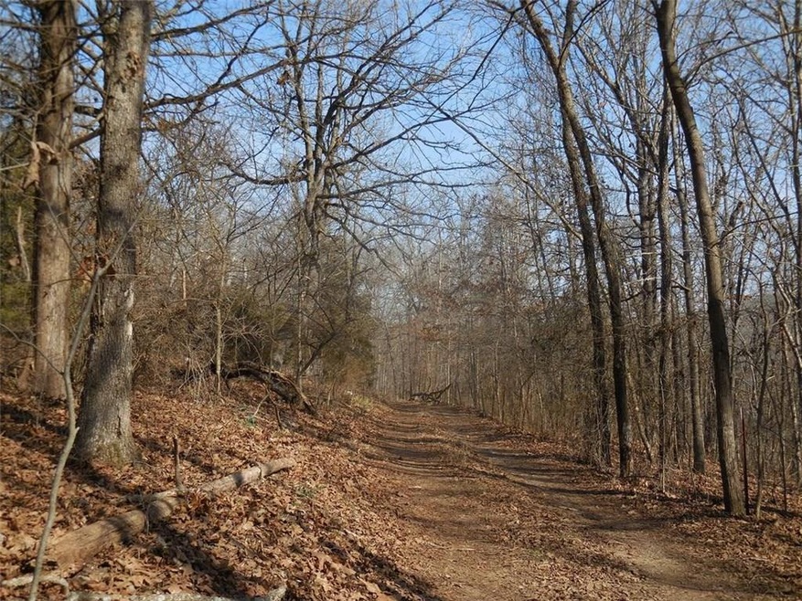 15041 Parker Branch Rd, West Fork, AR 72774 - photo 1