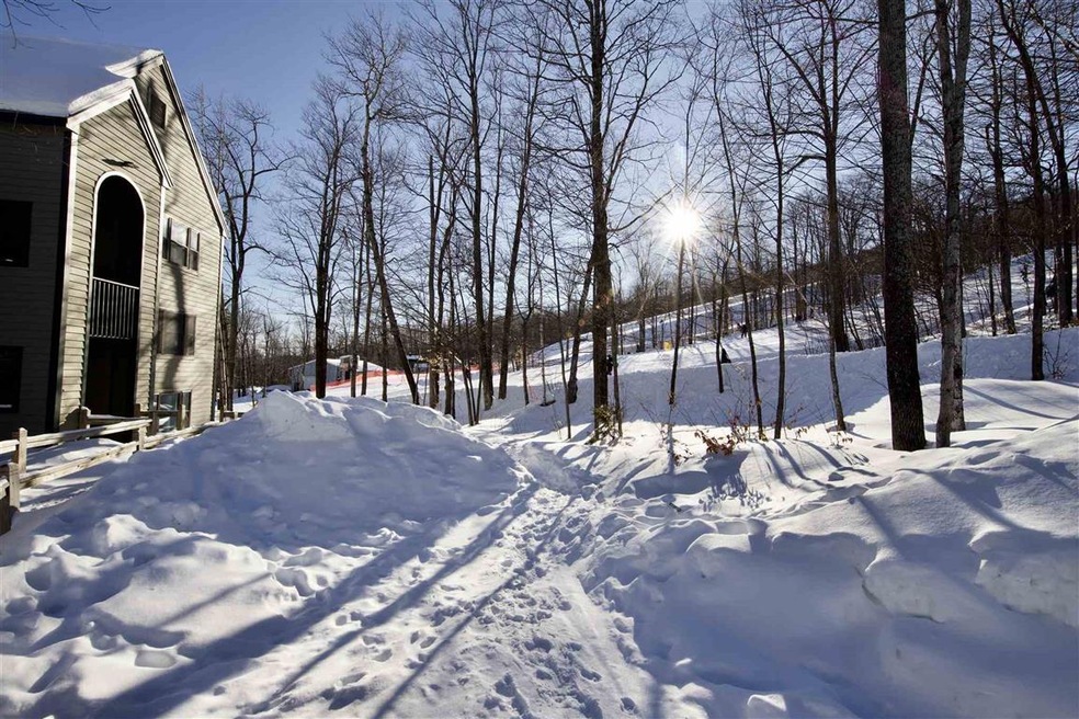58 Harrison Ln unit K302, Ludlow, VT 05149 - photo 1