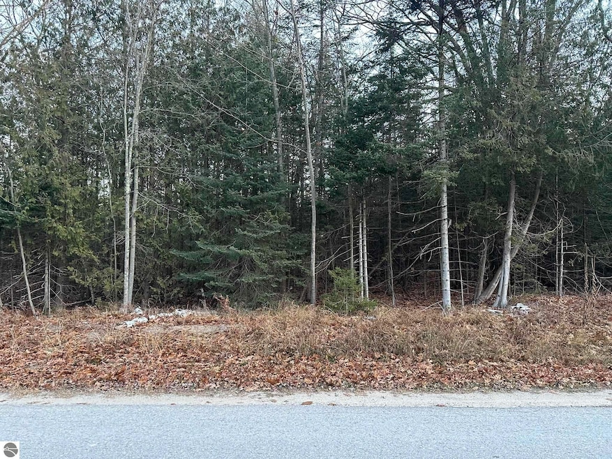 V/L Kingswood Ln, Oscoda Township, MI 48750 - photo 1