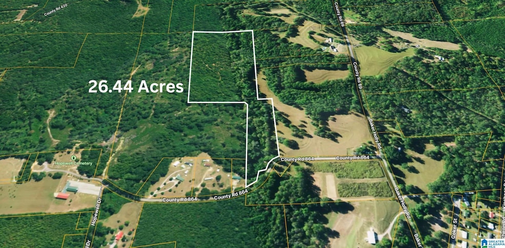 TBD1 286 County Road 864, Clanton, AL 35045 - photo 1