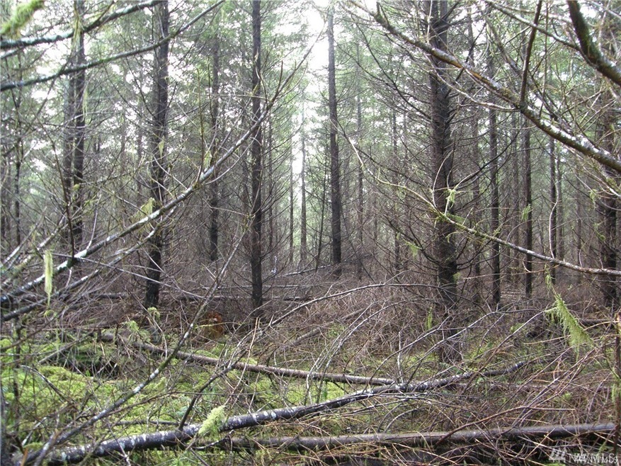 101 State Route 105, Raymond, WA 98577 - photo 1