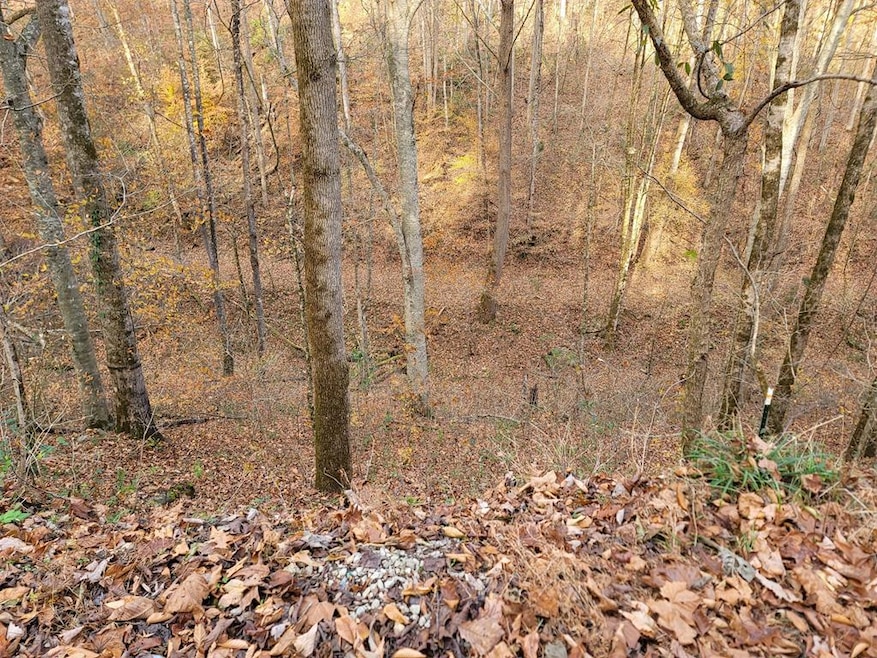 56B Holiday Haven Rd, Smithville, TN 37166 - photo 1