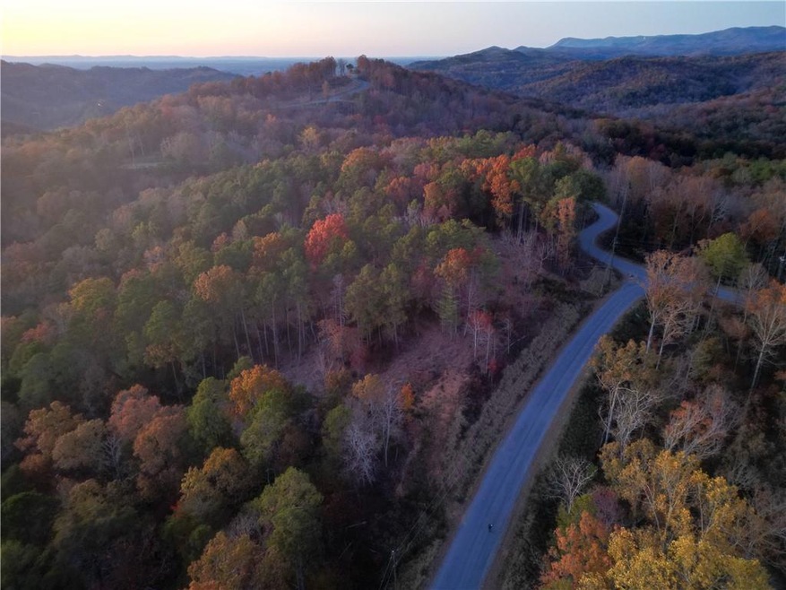 Aerial view at dusk of a wooded view