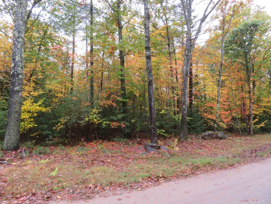 00 Savoy, Moultonborough, NH 03254 - photo 1