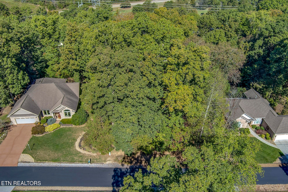 131 Kenosha Ln, Loudon, TN 37774 - photo 1