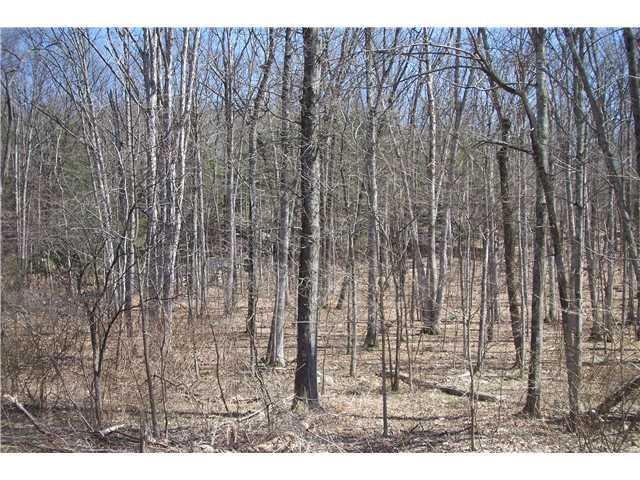 0 W Kaisertown Rd, Montgomery, NY 12549 - photo 1