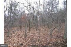 0 Timber Ridge Rd unit 1004070276, Berkeley Springs, WV 25411 - photo 1