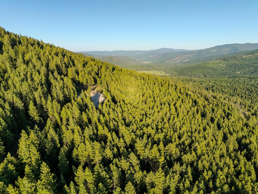 Nhn Powder Horn Ln, Marion, MT 59925 - photo 1