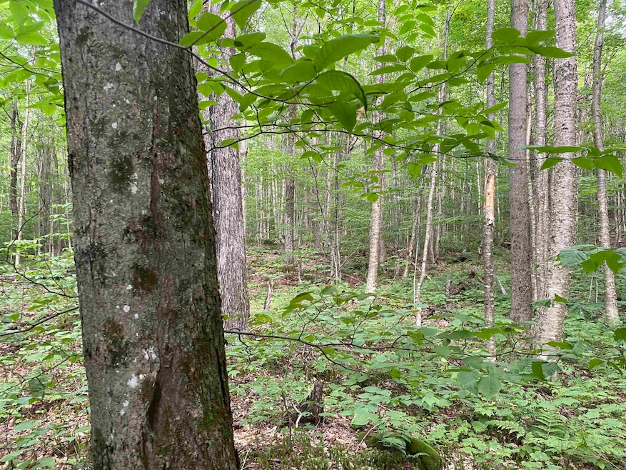 For Sale $215,000 • Co-Listing Agent