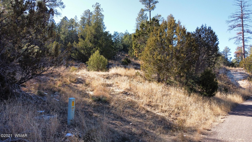 1905 Pine Drive