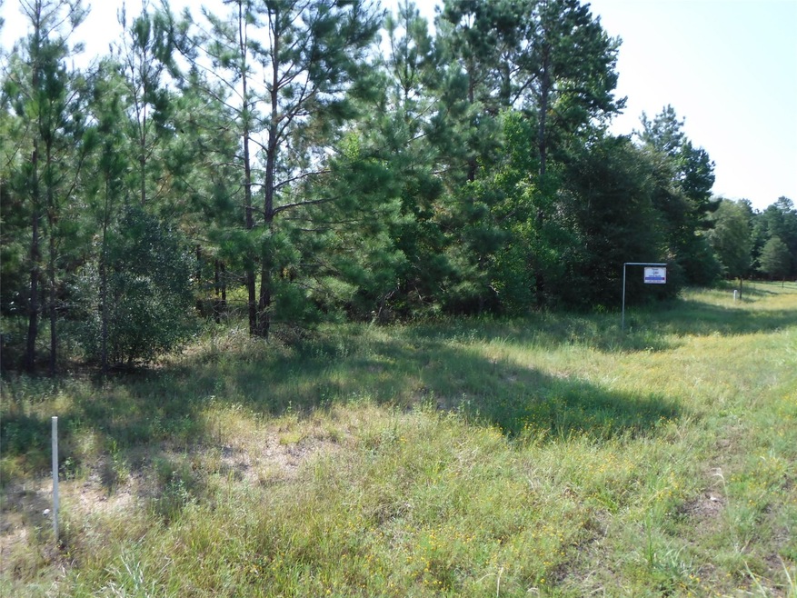 2064 White Buck Ct, Cleveland, TX 77328 - photo 1