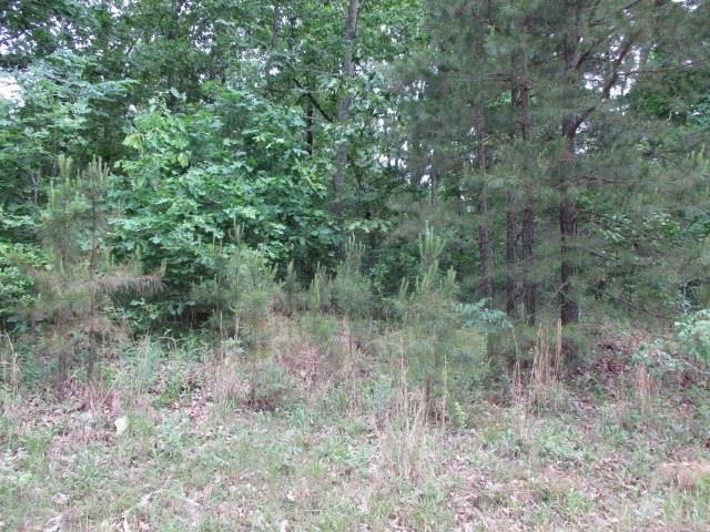 000 Greene 715 Rd, Paragould, AR 72450 - photo 1