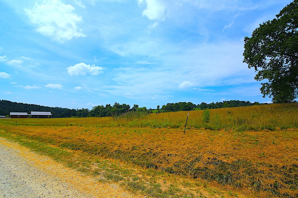 Lot for sale on Spring River1