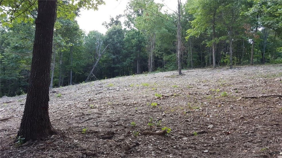 Tract 7 Clarks Station Rd, Siloam Springs, AR 72761 - photo 1