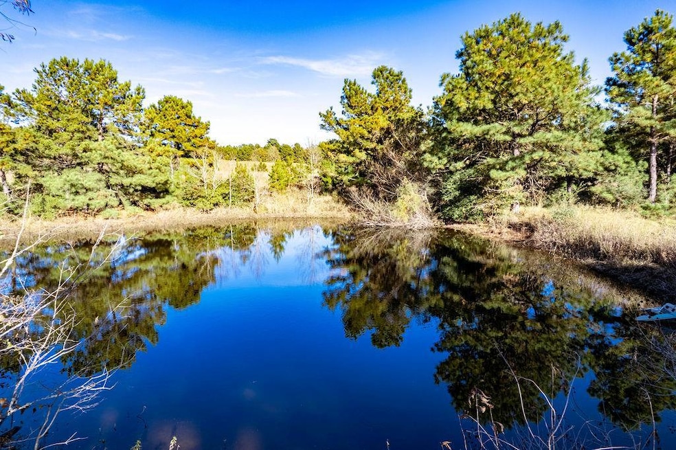 476 An County Road 414, Palestine, TX 75803 - photo 1