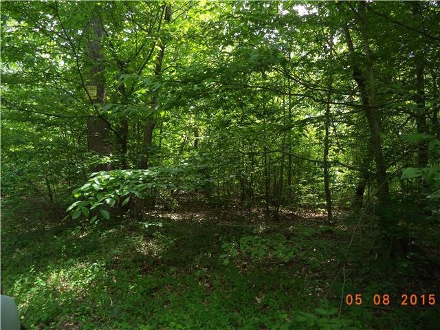 0 White Oak Rd unit RTC1632840, Stewart, TN 37175 - photo 1