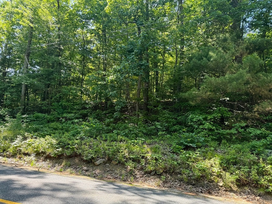 0 Ely Rd unit 73247615, Monson, MA 01057 - photo 1