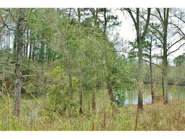 0 Ralph Cotton Rd unit 2052763, Pine Prairie, LA 70438 - photo 1
