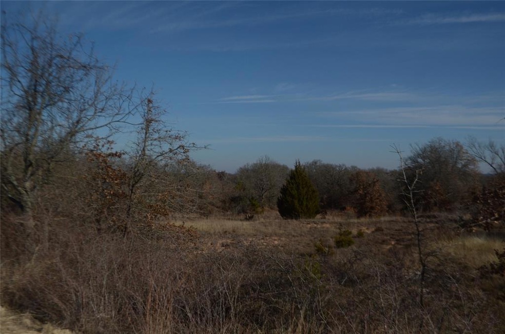 TBD Old Agnes Rd, Weatherford, TX 76088 - photo 1