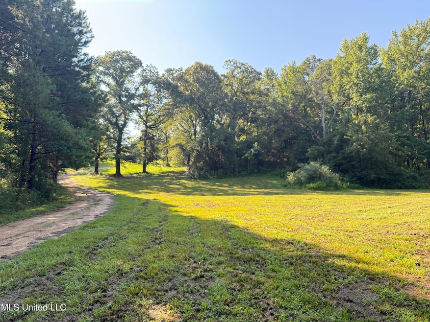 1156 Boone Rd, McComb, MS 39648 - photo 1