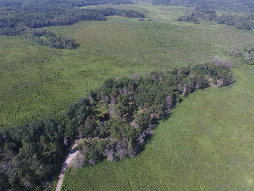Park-like 40 acre parcel