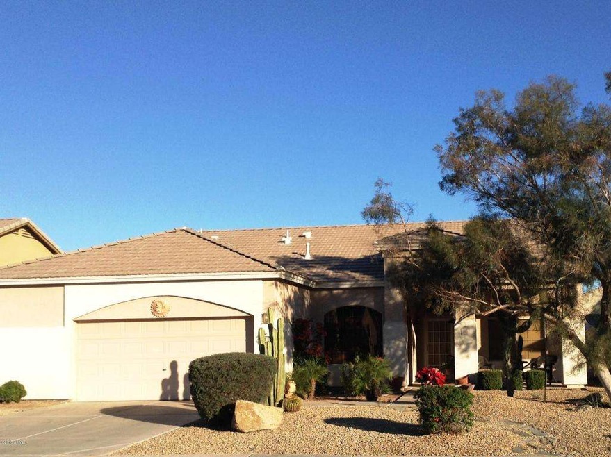 Smoke Tree Front