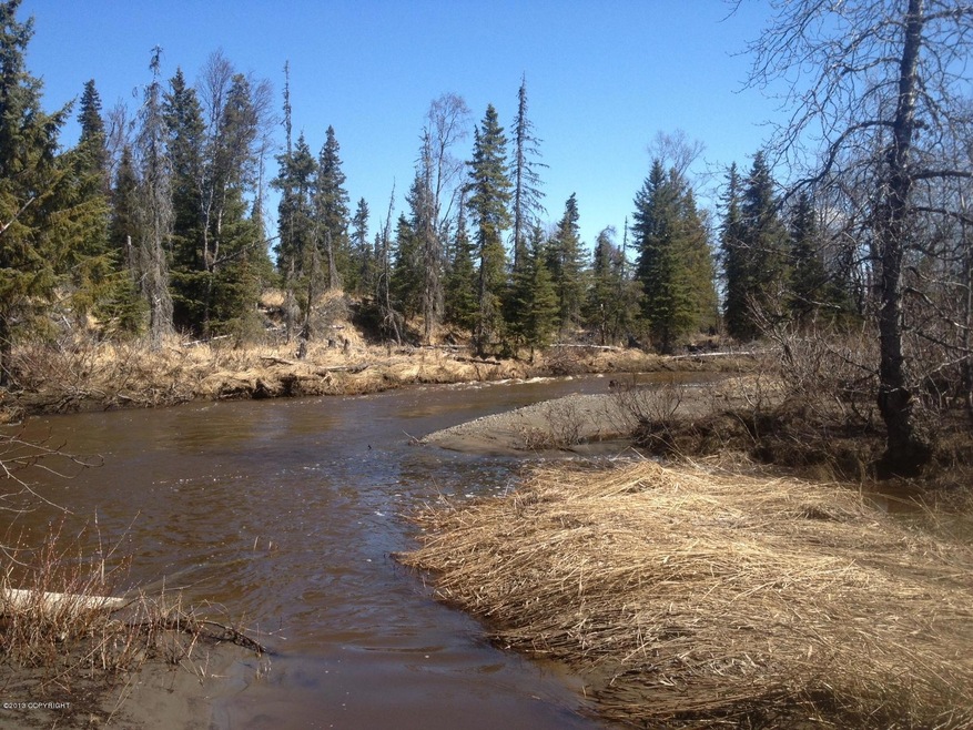 Looking at river at back of property