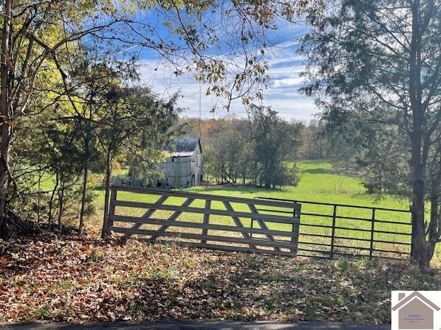 198 Goose Hollow Rd, Cadiz, KY 42211 - photo 1