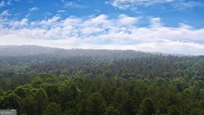 1054 Mount Sinai Rd, Lula, GA 30554 - photo 1