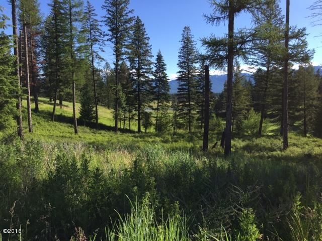 Beautiful view homesite