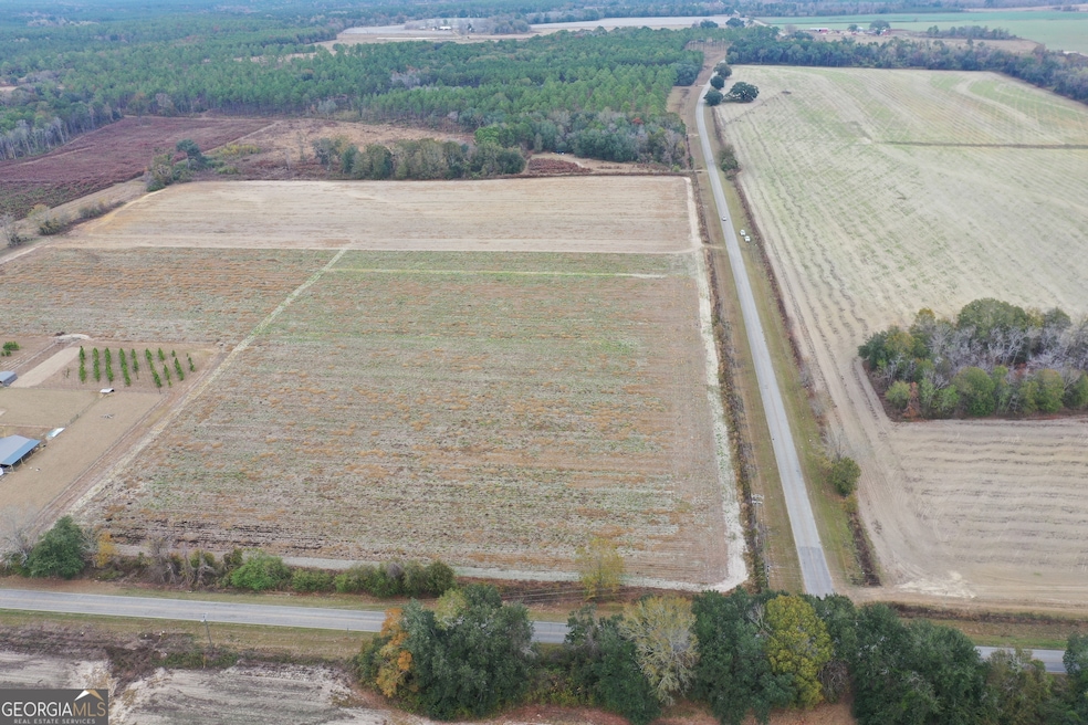 0 Jowers Rd, Whigham, GA 39897 - photo 1