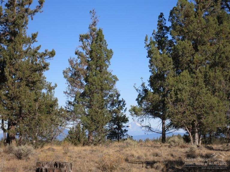 unlisted-address, Bend, OR 97701 - photo 1