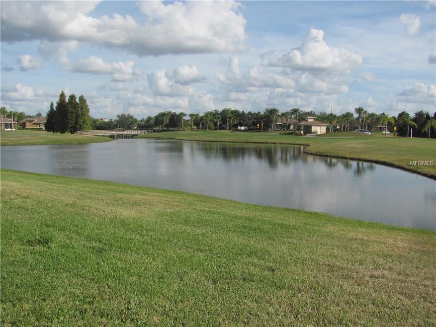 2526 Sapphire Greens Ln, Sun City Center, FL 33573 - photo 1