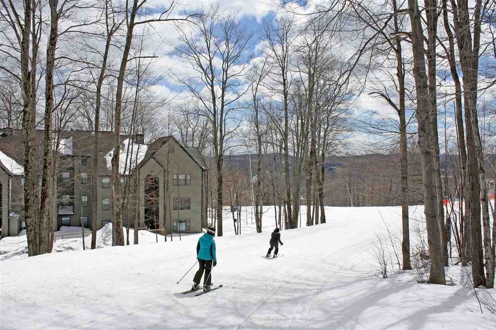 58 Harrison Ln unit K106, Ludlow, VT 05149 - photo 1
