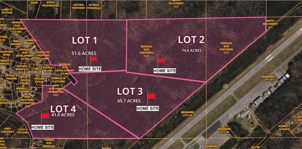 3550 Morgans Run Pkwy, Bessemer, AL 35022 - photo 1