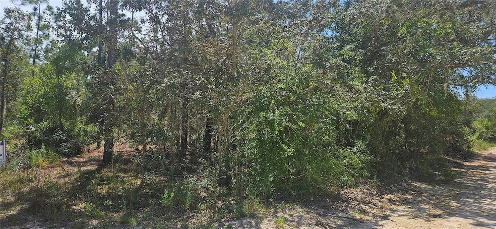 0 NE 67th Ln unit MFRGC533538, Bronson, FL 32621 - photo 1