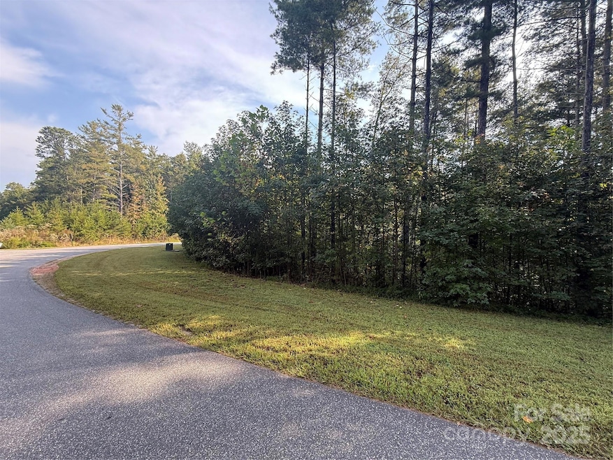 9999 Peninsula Reserve Rd, Nebo, NC 28761 - photo 1