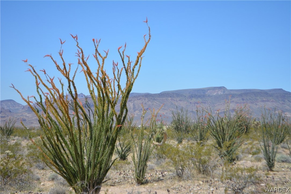 A7 Mohave Rd, Yucca, AZ 86438 - photo 1