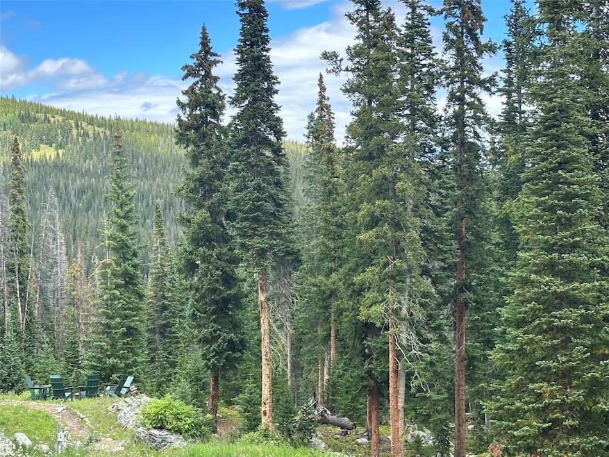 View of local wilderness